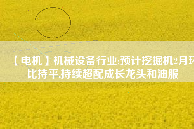 【電機(jī)】機(jī)械設(shè)備行業(yè):預(yù)計(jì)挖掘機(jī)2月環(huán)比持平,持續(xù)超配成長龍頭和油服 - TECO東元電機(jī) | 變頻器·伺服電機(jī)·減速機(jī)·電機(jī)解決方案