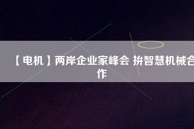 【電機(jī)】兩岸企業(yè)家峰會 拚智慧機(jī)械合作 - TECO東元電機(jī) | 變頻器·伺服電機(jī)·減速機(jī)·電機(jī)解決方案