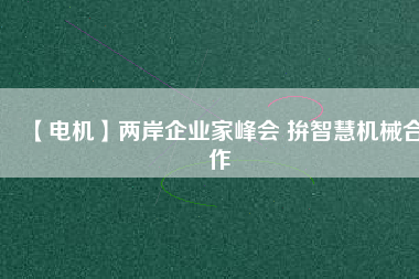 【電機(jī)】兩岸企業(yè)家峰會 拚智慧機(jī)械合作 - TECO東元電機(jī) | 變頻器·伺服電機(jī)·減速機(jī)·電機(jī)解決方案