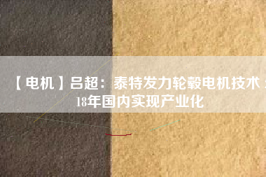 【電機(jī)】呂超:泰特發(fā)力輪轂電機(jī)技術(shù) 2018年國(guó)內(nèi)實(shí)現(xiàn)產(chǎn)業(yè)化 - TECO東元電機(jī) | 變頻器·伺服電機(jī)·減速機(jī)·電機(jī)解決方案