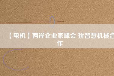 【電機(jī)】兩岸企業(yè)家峰會 拚智慧機(jī)械合作 - TECO東元電機(jī) | 變頻器·伺服電機(jī)·減速機(jī)·電機(jī)解決方案