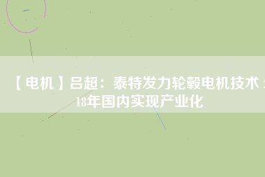 【電機(jī)】呂超:泰特發(fā)力輪轂電機(jī)技術(shù) 2018年國(guó)內(nèi)實(shí)現(xiàn)產(chǎn)業(yè)化 - TECO東元電機(jī) | 變頻器·伺服電機(jī)·減速機(jī)·電機(jī)解決方案