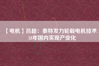 【電機(jī)】呂超:泰特發(fā)力輪轂電機(jī)技術(shù) 2018年國(guó)內(nèi)實(shí)現(xiàn)產(chǎn)業(yè)化 - TECO東元電機(jī) | 變頻器·伺服電機(jī)·減速機(jī)·電機(jī)解決方案