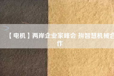 【電機(jī)】兩岸企業(yè)家峰會 拚智慧機(jī)械合作 - TECO東元電機(jī) | 變頻器·伺服電機(jī)·減速機(jī)·電機(jī)解決方案