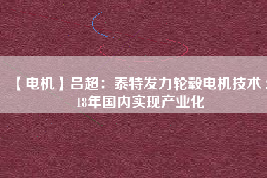 【電機(jī)】呂超:泰特發(fā)力輪轂電機(jī)技術(shù) 2018年國(guó)內(nèi)實(shí)現(xiàn)產(chǎn)業(yè)化 - TECO東元電機(jī) | 變頻器·伺服電機(jī)·減速機(jī)·電機(jī)解決方案