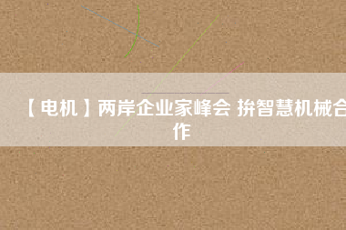 【電機(jī)】兩岸企業(yè)家峰會 拚智慧機(jī)械合作 - TECO東元電機(jī) | 變頻器·伺服電機(jī)·減速機(jī)·電機(jī)解決方案