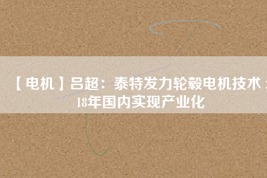 【電機(jī)】呂超:泰特發(fā)力輪轂電機(jī)技術(shù) 2018年國(guó)內(nèi)實(shí)現(xiàn)產(chǎn)業(yè)化 - TECO東元電機(jī) | 變頻器·伺服電機(jī)·減速機(jī)·電機(jī)解決方案