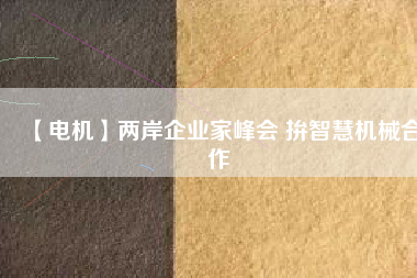 【電機(jī)】兩岸企業(yè)家峰會 拚智慧機(jī)械合作 - TECO東元電機(jī) | 變頻器·伺服電機(jī)·減速機(jī)·電機(jī)解決方案