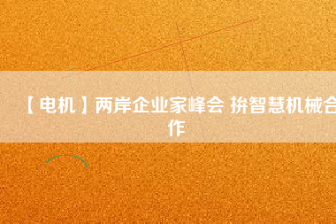 【電機(jī)】兩岸企業(yè)家峰會 拚智慧機(jī)械合作 - TECO東元電機(jī) | 變頻器·伺服電機(jī)·減速機(jī)·電機(jī)解決方案