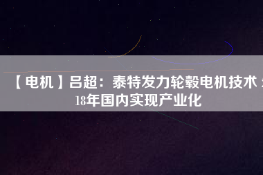 【電機(jī)】呂超:泰特發(fā)力輪轂電機(jī)技術(shù) 2018年國(guó)內(nèi)實(shí)現(xiàn)產(chǎn)業(yè)化 - TECO東元電機(jī) | 變頻器·伺服電機(jī)·減速機(jī)·電機(jī)解決方案