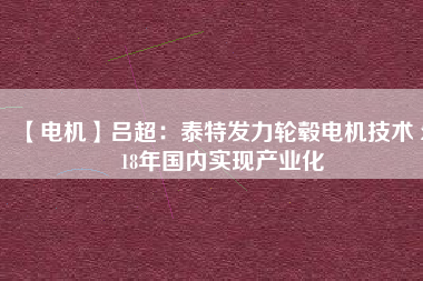 【電機(jī)】呂超:泰特發(fā)力輪轂電機(jī)技術(shù) 2018年國(guó)內(nèi)實(shí)現(xiàn)產(chǎn)業(yè)化 - TECO東元電機(jī) | 變頻器·伺服電機(jī)·減速機(jī)·電機(jī)解決方案