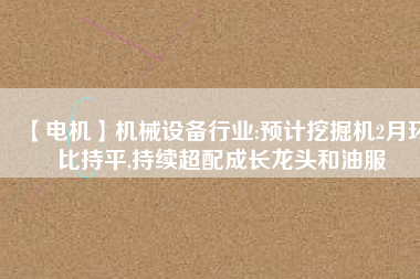 【電機(jī)】機(jī)械設(shè)備行業(yè):預(yù)計(jì)挖掘機(jī)2月環(huán)比持平,持續(xù)超配成長龍頭和油服 - TECO東元電機(jī) | 變頻器·伺服電機(jī)·減速機(jī)·電機(jī)解決方案