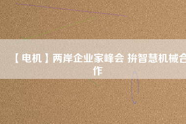【電機(jī)】兩岸企業(yè)家峰會 拚智慧機(jī)械合作 - TECO東元電機(jī) | 變頻器·伺服電機(jī)·減速機(jī)·電機(jī)解決方案