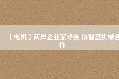 【電機(jī)】兩岸企業(yè)家峰會 拚智慧機(jī)械合作 - TECO東元電機(jī) | 變頻器·伺服電機(jī)·減速機(jī)·電機(jī)解決方案