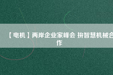 【電機(jī)】兩岸企業(yè)家峰會 拚智慧機(jī)械合作 - TECO東元電機(jī) | 變頻器·伺服電機(jī)·減速機(jī)·電機(jī)解決方案