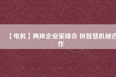 【電機(jī)】兩岸企業(yè)家峰會 拚智慧機(jī)械合作 - TECO東元電機(jī) | 變頻器·伺服電機(jī)·減速機(jī)·電機(jī)解決方案