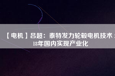 【電機(jī)】呂超:泰特發(fā)力輪轂電機(jī)技術(shù) 2018年國(guó)內(nèi)實(shí)現(xiàn)產(chǎn)業(yè)化 - TECO東元電機(jī) | 變頻器·伺服電機(jī)·減速機(jī)·電機(jī)解決方案