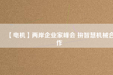 【電機(jī)】兩岸企業(yè)家峰會 拚智慧機(jī)械合作 - TECO東元電機(jī) | 變頻器·伺服電機(jī)·減速機(jī)·電機(jī)解決方案