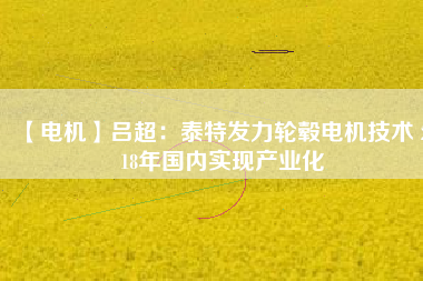 【電機(jī)】呂超:泰特發(fā)力輪轂電機(jī)技術(shù) 2018年國(guó)內(nèi)實(shí)現(xiàn)產(chǎn)業(yè)化 - TECO東元電機(jī) | 變頻器·伺服電機(jī)·減速機(jī)·電機(jī)解決方案