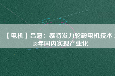 【電機(jī)】呂超:泰特發(fā)力輪轂電機(jī)技術(shù) 2018年國(guó)內(nèi)實(shí)現(xiàn)產(chǎn)業(yè)化 - TECO東元電機(jī) | 變頻器·伺服電機(jī)·減速機(jī)·電機(jī)解決方案