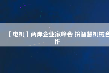 【電機(jī)】兩岸企業(yè)家峰會 拚智慧機(jī)械合作 - TECO東元電機(jī) | 變頻器·伺服電機(jī)·減速機(jī)·電機(jī)解決方案