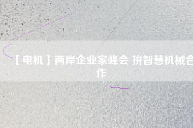 【電機(jī)】兩岸企業(yè)家峰會 拚智慧機(jī)械合作 - TECO東元電機(jī) | 變頻器·伺服電機(jī)·減速機(jī)·電機(jī)解決方案