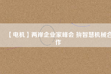 【電機(jī)】兩岸企業(yè)家峰會 拚智慧機(jī)械合作 - TECO東元電機(jī) | 變頻器·伺服電機(jī)·減速機(jī)·電機(jī)解決方案