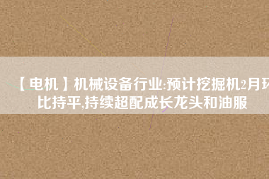 【電機(jī)】機(jī)械設(shè)備行業(yè):預(yù)計(jì)挖掘機(jī)2月環(huán)比持平,持續(xù)超配成長龍頭和油服 - TECO東元電機(jī) | 變頻器·伺服電機(jī)·減速機(jī)·電機(jī)解決方案