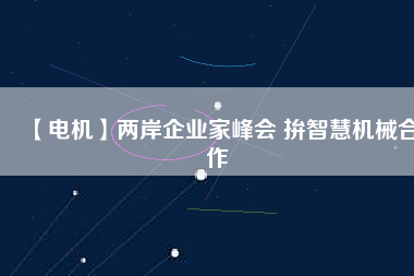 【電機(jī)】兩岸企業(yè)家峰會 拚智慧機(jī)械合作 - TECO東元電機(jī) | 變頻器·伺服電機(jī)·減速機(jī)·電機(jī)解決方案