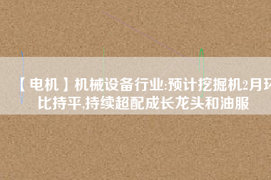 【電機(jī)】機(jī)械設(shè)備行業(yè):預(yù)計(jì)挖掘機(jī)2月環(huán)比持平,持續(xù)超配成長龍頭和油服 - TECO東元電機(jī) | 變頻器·伺服電機(jī)·減速機(jī)·電機(jī)解決方案