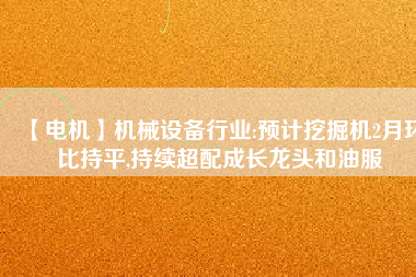 【電機(jī)】機(jī)械設(shè)備行業(yè):預(yù)計(jì)挖掘機(jī)2月環(huán)比持平,持續(xù)超配成長龍頭和油服 - TECO東元電機(jī) | 變頻器·伺服電機(jī)·減速機(jī)·電機(jī)解決方案