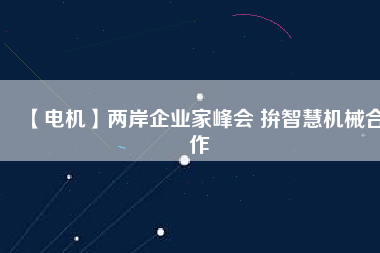 【電機(jī)】兩岸企業(yè)家峰會 拚智慧機(jī)械合作 - TECO東元電機(jī) | 變頻器·伺服電機(jī)·減速機(jī)·電機(jī)解決方案