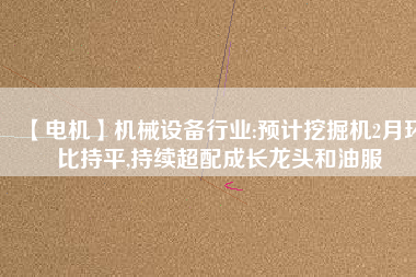 【電機(jī)】機(jī)械設(shè)備行業(yè):預(yù)計(jì)挖掘機(jī)2月環(huán)比持平,持續(xù)超配成長龍頭和油服 - TECO東元電機(jī) | 變頻器·伺服電機(jī)·減速機(jī)·電機(jī)解決方案