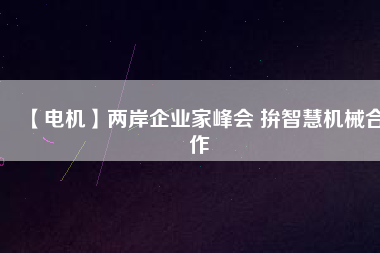 【電機(jī)】兩岸企業(yè)家峰會 拚智慧機(jī)械合作 - TECO東元電機(jī) | 變頻器·伺服電機(jī)·減速機(jī)·電機(jī)解決方案