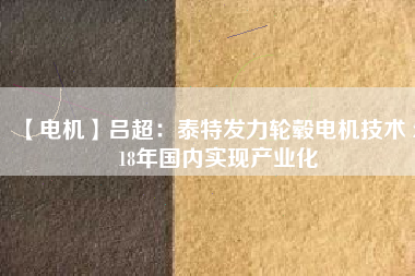 【電機(jī)】呂超:泰特發(fā)力輪轂電機(jī)技術(shù) 2018年國(guó)內(nèi)實(shí)現(xiàn)產(chǎn)業(yè)化 - TECO東元電機(jī) | 變頻器·伺服電機(jī)·減速機(jī)·電機(jī)解決方案