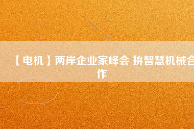 【電機(jī)】兩岸企業(yè)家峰會 拚智慧機(jī)械合作 - TECO東元電機(jī) | 變頻器·伺服電機(jī)·減速機(jī)·電機(jī)解決方案