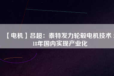 【電機(jī)】呂超:泰特發(fā)力輪轂電機(jī)技術(shù) 2018年國(guó)內(nèi)實(shí)現(xiàn)產(chǎn)業(yè)化 - TECO東元電機(jī) | 變頻器·伺服電機(jī)·減速機(jī)·電機(jī)解決方案