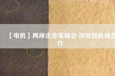 【電機(jī)】兩岸企業(yè)家峰會 拚智慧機(jī)械合作 - TECO東元電機(jī) | 變頻器·伺服電機(jī)·減速機(jī)·電機(jī)解決方案