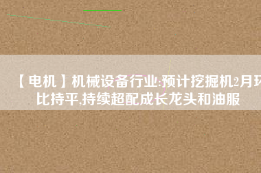 【電機(jī)】機(jī)械設(shè)備行業(yè):預(yù)計(jì)挖掘機(jī)2月環(huán)比持平,持續(xù)超配成長龍頭和油服 - TECO東元電機(jī) | 變頻器·伺服電機(jī)·減速機(jī)·電機(jī)解決方案