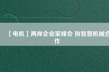 【電機(jī)】兩岸企業(yè)家峰會 拚智慧機(jī)械合作 - TECO東元電機(jī) | 變頻器·伺服電機(jī)·減速機(jī)·電機(jī)解決方案