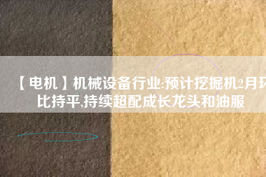 【電機(jī)】機(jī)械設(shè)備行業(yè):預(yù)計(jì)挖掘機(jī)2月環(huán)比持平,持續(xù)超配成長龍頭和油服 - TECO東元電機(jī) | 變頻器·伺服電機(jī)·減速機(jī)·電機(jī)解決方案