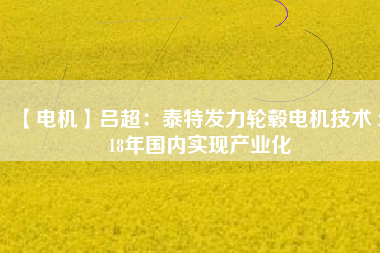 【電機(jī)】呂超:泰特發(fā)力輪轂電機(jī)技術(shù) 2018年國(guó)內(nèi)實(shí)現(xiàn)產(chǎn)業(yè)化 - TECO東元電機(jī) | 變頻器·伺服電機(jī)·減速機(jī)·電機(jī)解決方案