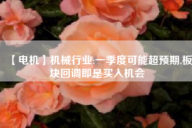【電機】機械行業(yè):一季度可能超預期,板塊回調(diào)即是買入機會